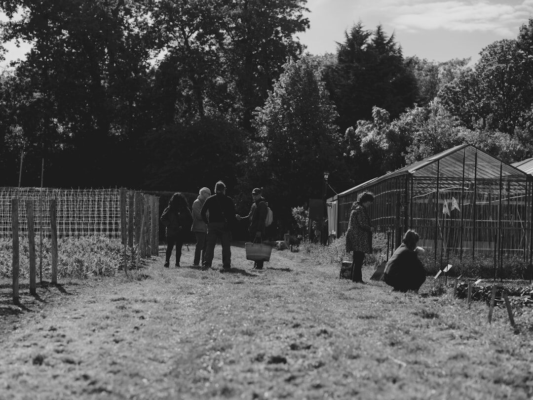 Seniors gardening together in a community garden